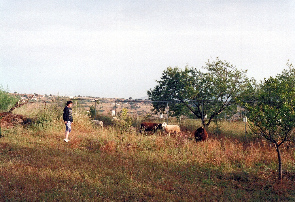 1995 - Andalousie 3 (Camping Torremolinos).jpg